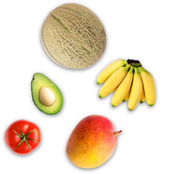 frutas y verduras